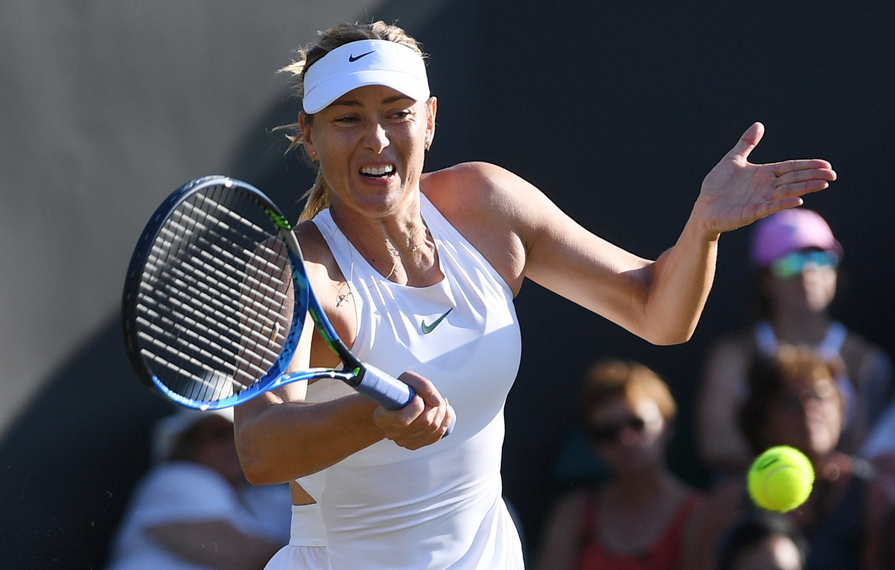 星空体育-莎拉波娃迎来十赛季高光表现，掘金球迷沸腾！的简单介绍